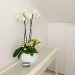 Lanterna * Costermano